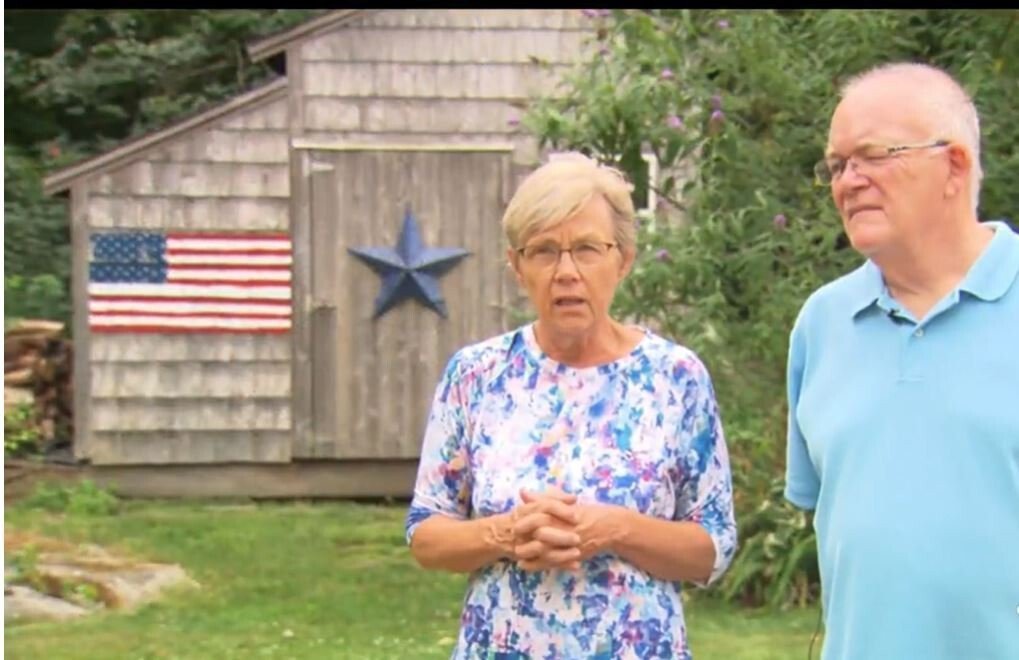 <i>WBZ</i><br/>A couple was shocked to find an entire colony of bees living inside the wall of their shed in Hopkinton