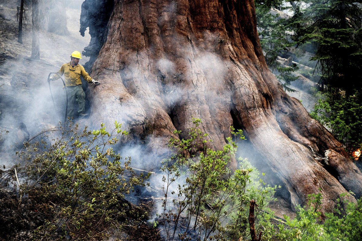 <i>Noah Berger/AP</i><br/>A firefighter works to contain the Washburn Fire.