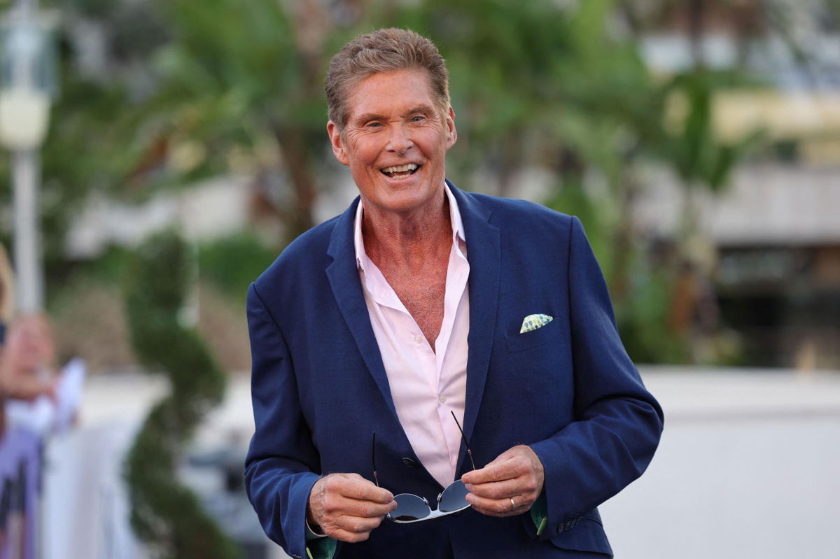 <i>Valery Hache/AFP/Getty Images</i><br/>David Hasselhoff