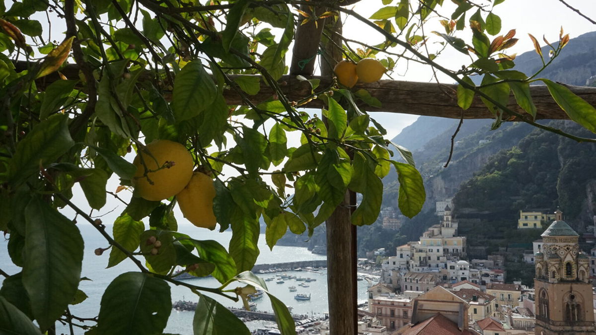 <i>Federico Angeloni</i><br/>Lemon groves fill the steep slopes.