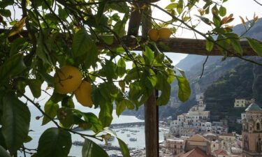 Lemon groves fill the steep slopes.