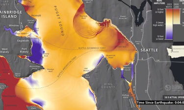 The Washington State Department of Natural Resources (DNR) has released a simulation that shows the impact of a major earthquake on the Seattle Fault.