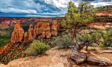 Colorado National Monument features red rock canyons near Grand Junction.