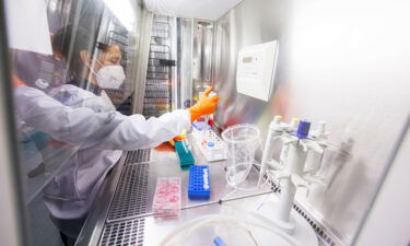 An employee works on a vaccine based on the monkeypox vaccine that has already been developed by the vaccine company Bavarian Nordic at a laboratory of the company in Martinsried near Munich