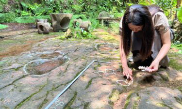 Experts investigate dinosaur footprints in a restaurant courtyard in Leshan