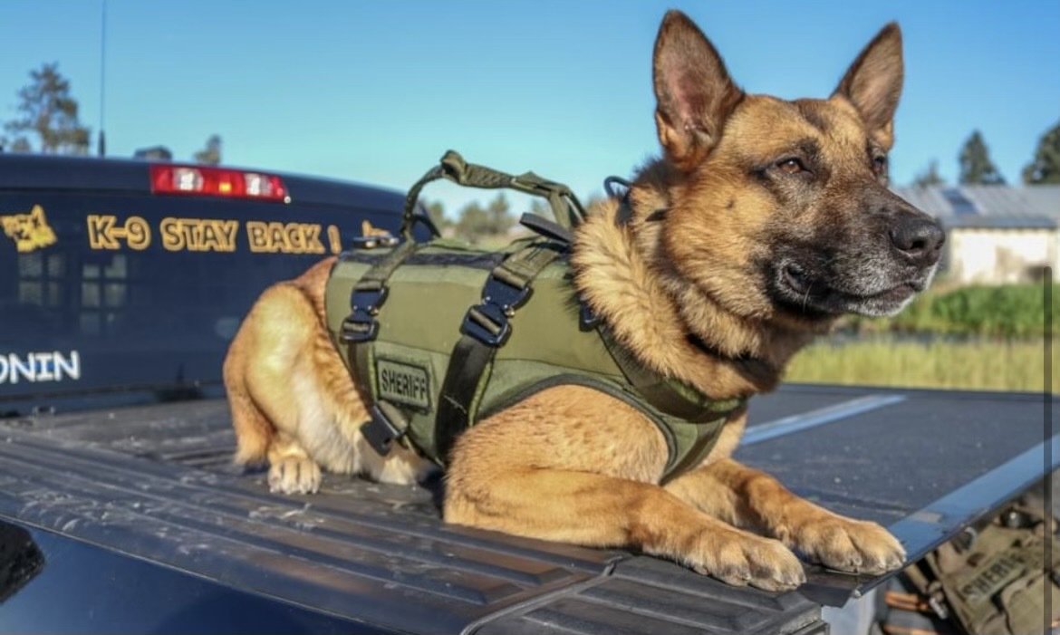 Deschutes County Sheriff’s Office K-9s just got some new, possibly life-saving gear: Doggy body armor