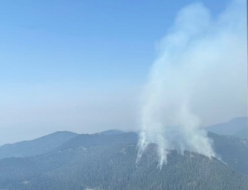 Potter Fire on Willamette National Forest was already 60 acres when spotted Sunday,