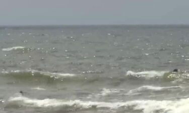 A man drowned Sunday in the Gulf of Mexico