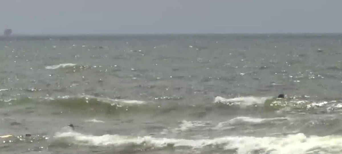 <i>WALA</i><br/>A man drowned Sunday in the Gulf of Mexico