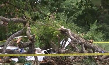 Several people were injured after a tree falls during a west Philadelphia high school reunion party at Fairmount Park.