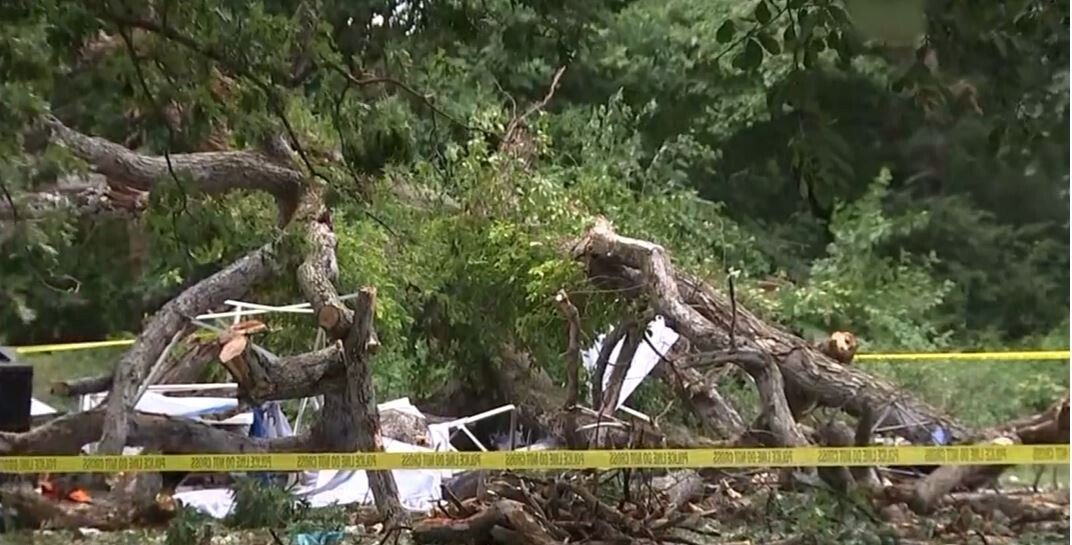 <i>KYW</i><br/>Several people were injured after a tree falls during a west Philadelphia high school reunion party at Fairmount Park.