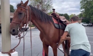 One way to beat high gas prices: ride a horse. That's just what one Greenville man did Thursday. Johnnie Moubray rode his horse