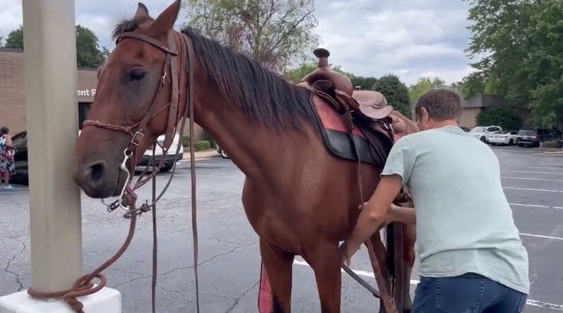 <i>WYFF</i><br/>One way to beat high gas prices: ride a horse. That's just what one Greenville man did Thursday. Johnnie Moubray rode his horse