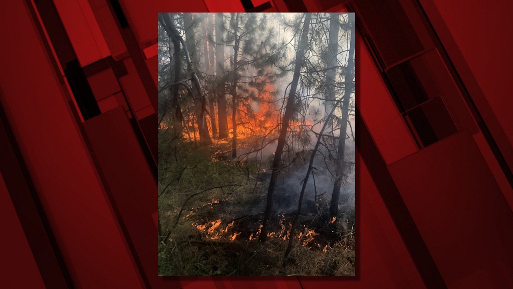 Illegal, abandoned campfire sparks 3-acre blaze near Walton Lake; Cedar Creek Fire tops 7,000 acres