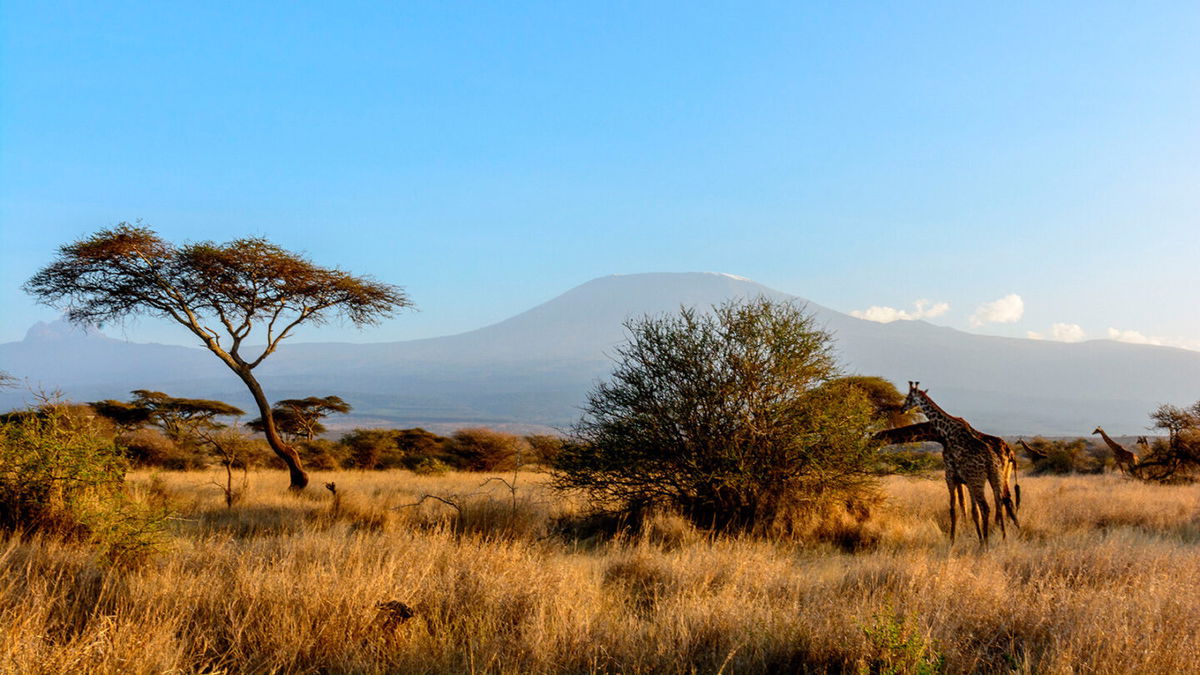 <i>Roger de la Harpe/Education Images/Universal Images Group/Getty Images</i><br/>Climbers ascending Mount Kilimanjaro can now document their ascents in real-time on Instagram