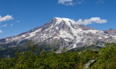 A Canadian climber fell to his death in Mount Rainier National Park in Washington state