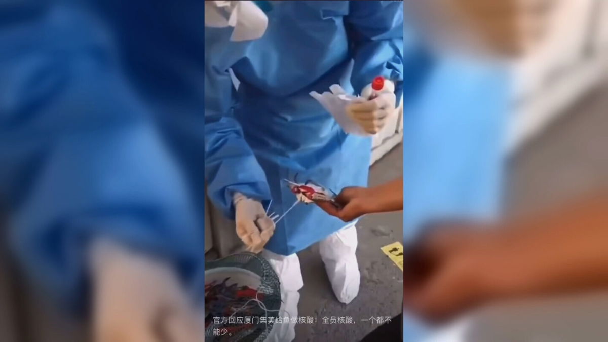 <i>Weibo</i><br/>Health workers in Xiamen swab crabs for Covid-19.