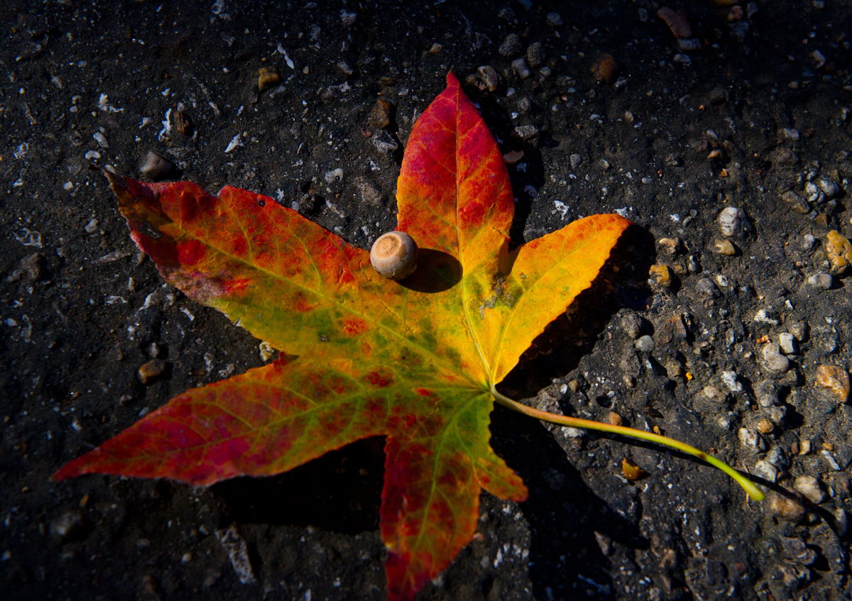 <i>KAREN BLEIER/AFP/Getty Images</i><br/>Not only should fall temperatures be a relief from a hot summer