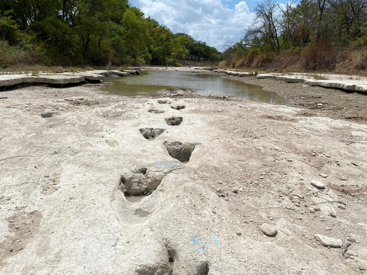 <i>Dinosaur Valley State Park</i><br/>Dinosaur tracks dating from around 113 million years ago are pictured here.