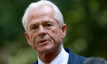 The Justice Department sued former White House trade adviser Peter Navarro on August 3