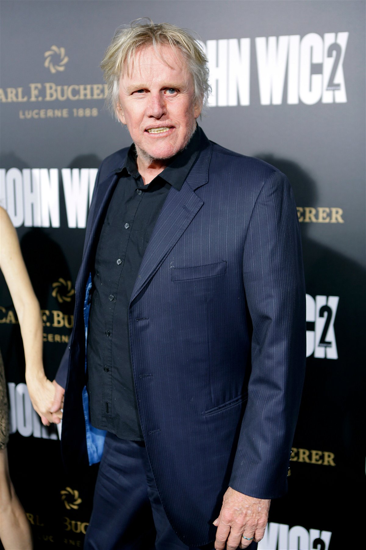 <i>Tiffany Rose/Getty Images</i><br/>Actor Gary Busey