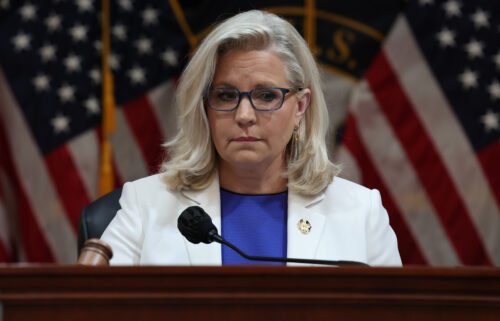 Rep. Liz Cheney's campaign has purchased a series of national ad spots on Fox News to run the viral campaign advertisement she debuted last week featuring her father.
