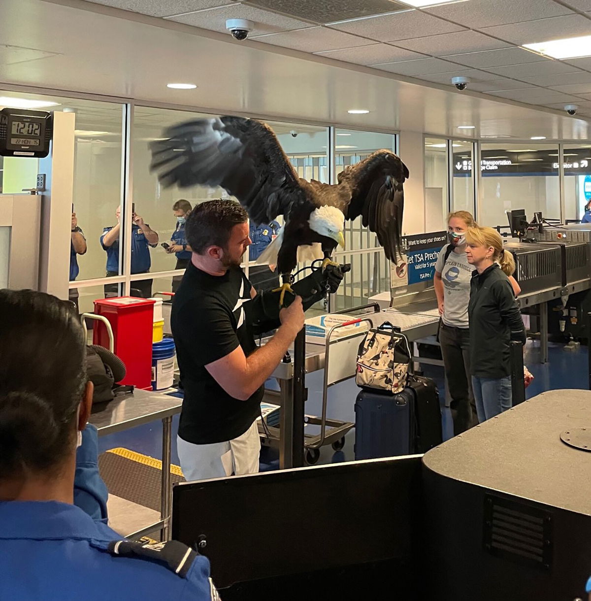 <i>TSA Southeast</i><br/>Passengers at the Charlotte Douglas International Airport in North Carolina had an unexpected interruption at the Transportation Security Administration checkpoint when a bald eagle
