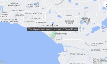 Passerby reported an alligator to authorities after spotting the injured animal swimming in a pond behind a Subway restaurant in Deltona