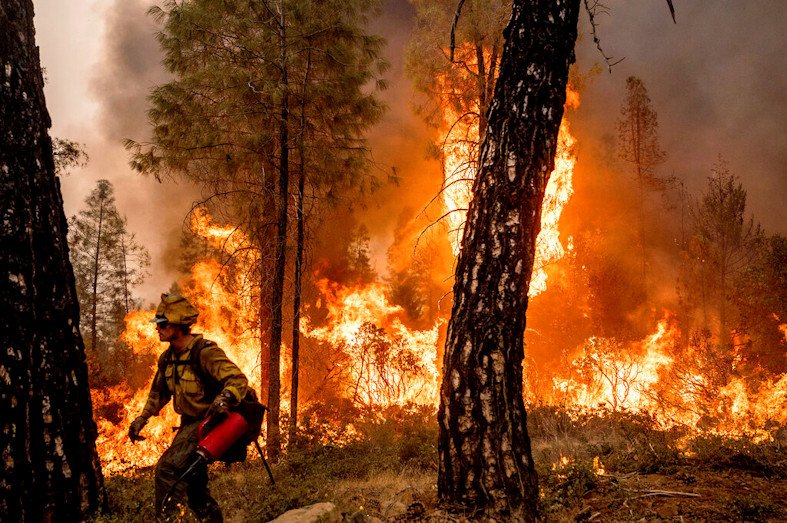 Firefighter Davis Sommer lights a backfire to burn off vegetation while battling the Mosquito Fire in the Volcanoville community of El Dorado County, Calif., on Friday. He is part of Alaska's Pioneer Peak Interagency Hotshot crew
