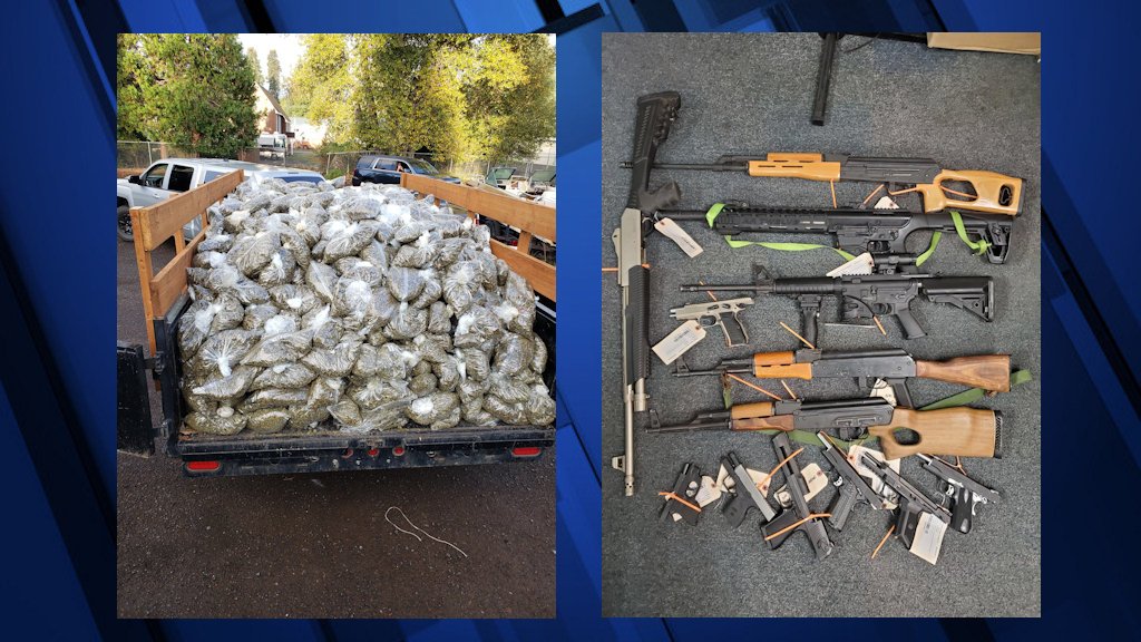 Illegally grown marijuana, firearms were seized in pair of Jackson County raids
