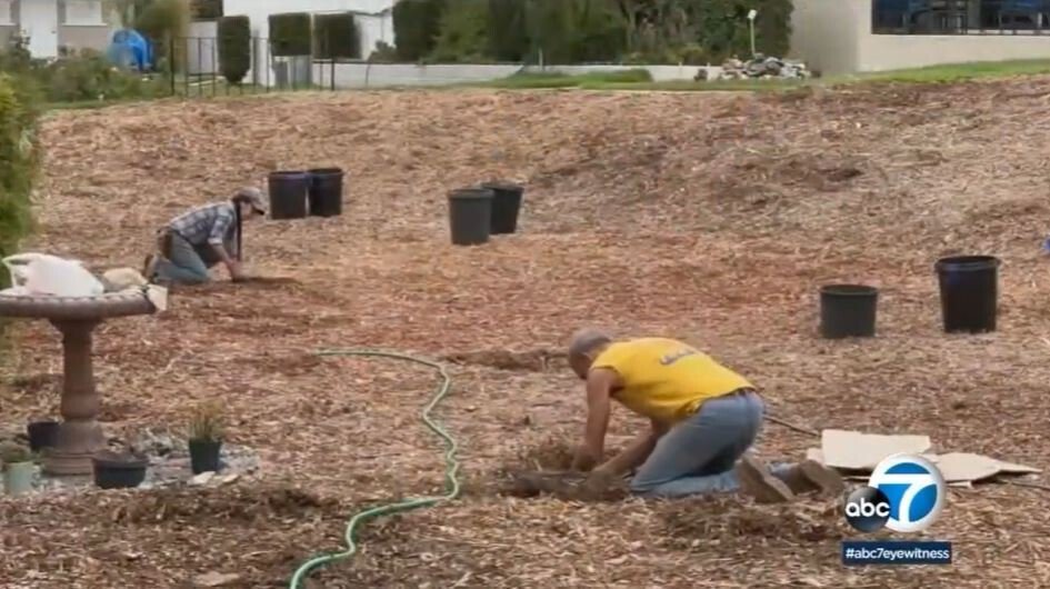 <i>Anaheim Police/KABC</i><br/>The nuns at Maryknoll Sisters retirement home decided to get rid of six acres of grass and turn the area into a water-saving oasis.