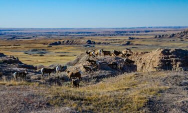 Pictured here is the Badlands National Park in South Dakota. September 24 marks another free entry day to all National Park Service sites that usually charge an entrance fee.