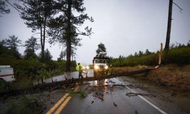 Caltrans workers remove a fallen tree in San Diego on September 9.