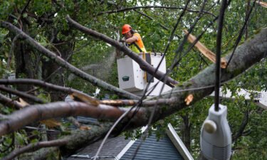 A worker clears fallen trees and downed wires from damage in Halifax