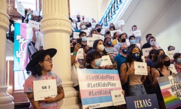 LGBTQ rights supporters are seen here at the Texas State Capitol tin September 2021. Texas' family services are 'on the brink of collapse' following the state's decision to investigate the gender-affirming care of minors as potential child abuse.