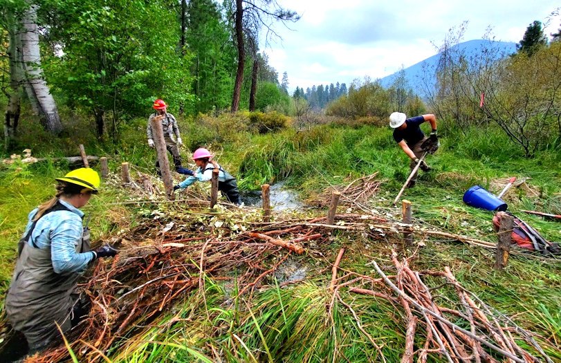 Forest Service, Heart of Oregon Corps crews restore wetlands along Indian Ford Creek
