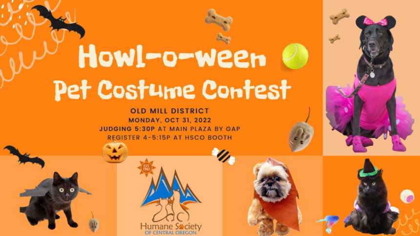 WestWood Reserve Apartments - CONTEST ANNOUNCEMENT: Pet Costume