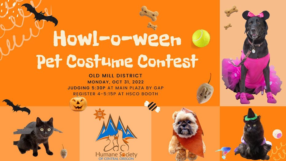 Humane Society of Central Oregon's Howl-o-ween Pet Costume Contest
