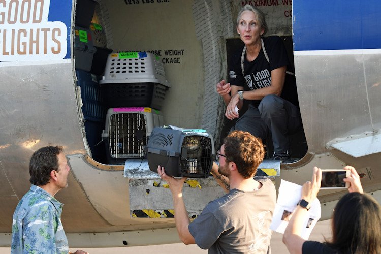 Humane Society of Central Oregon helps unload cats from Florida after arrival in Hillsboro on Sunday
