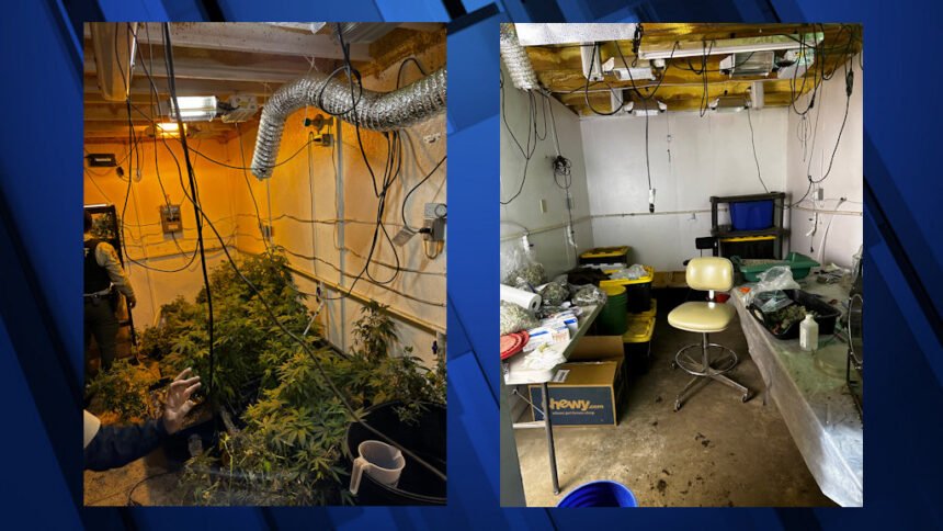 La Pine mother, son arrested in raid on illegal marijuana grow along Day Road
