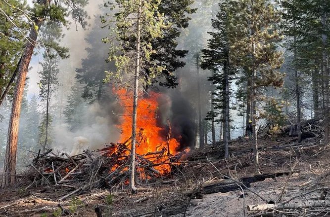 U.S. Forest Service pile burning