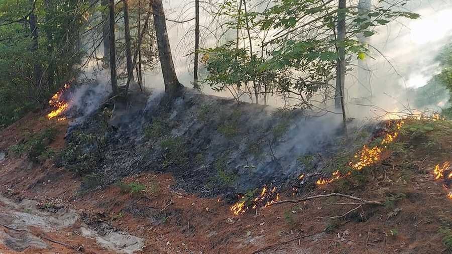<i>Maine Forest Rangers/WMTW</i><br/>A fire burns on the side of a road in Denmark
