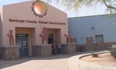 The Maricopa County Animal Care & Control announced the temporary closure of its east Valley shelter due to a potential disease outbreak among its dogs.