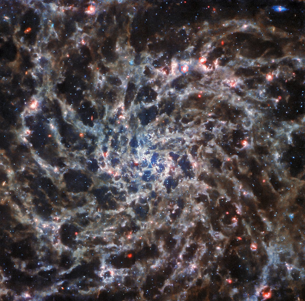 <i>ESA/NASA/CSA/J. Lee</i><br/>The Webb telescope observed the spiral galaxy IC 5332