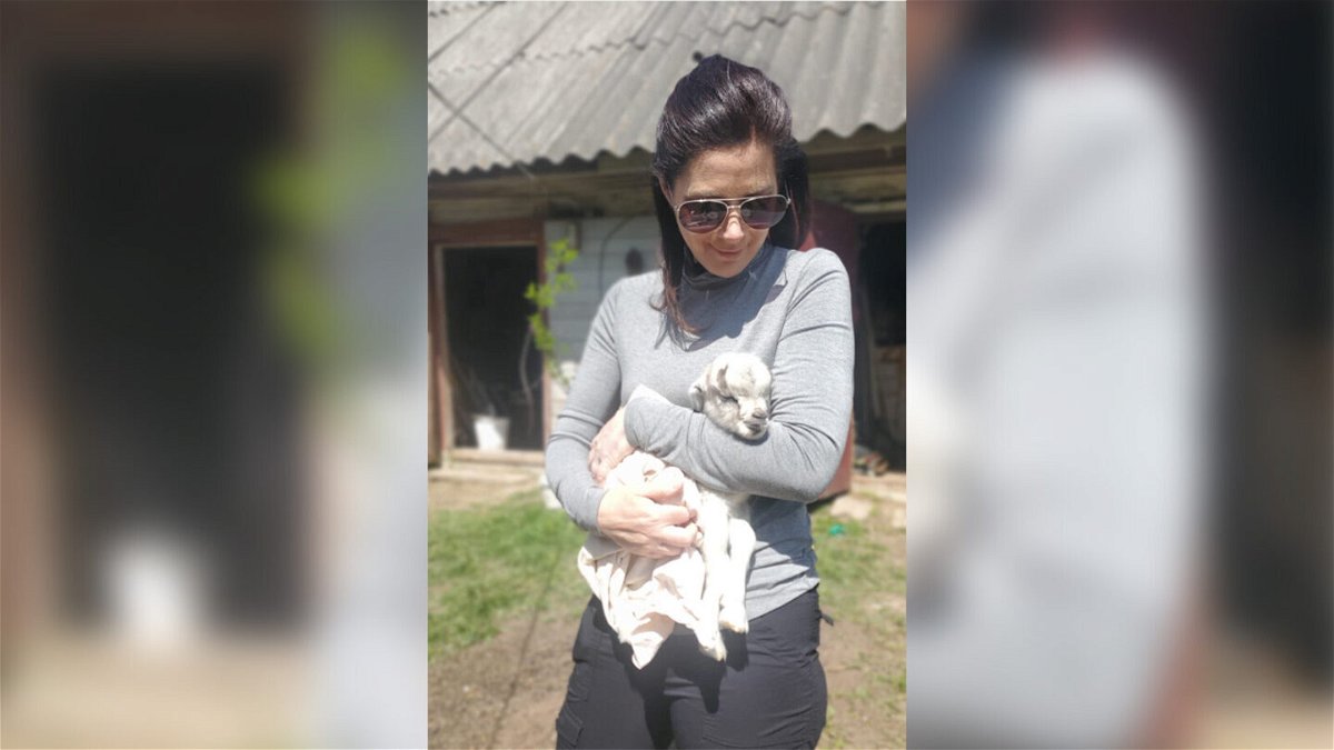 <i>CNN</i><br/>CNN's Erin Burnett holds a newborn goat in the Ukrainian town of Andriivka on May 11.