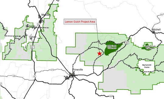 Facing opposition, Ochoco National Forest scales back plans for Lemon Gulch Trails Project