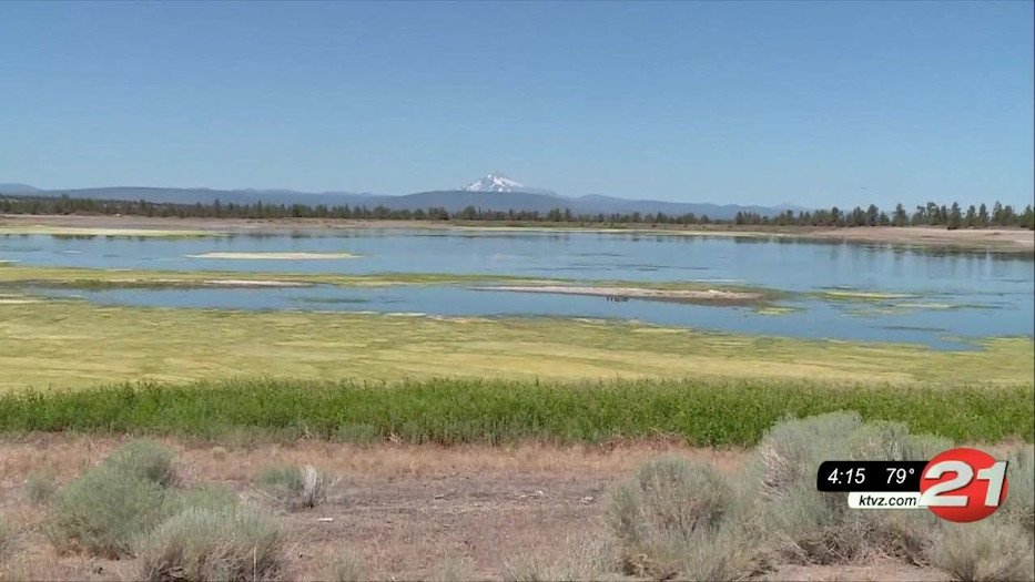 BLM seeks input on Redmond’s plan to lease 620 acres for wastewater treatment expansion, wetlands
