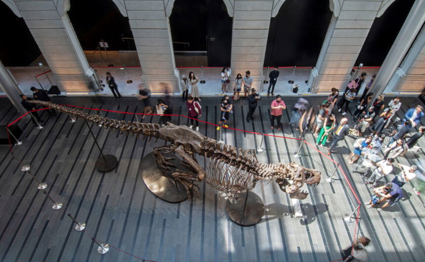 Christie's Withdraws T. Rex Skeleton From Auction Days Before Sale - KTVZ