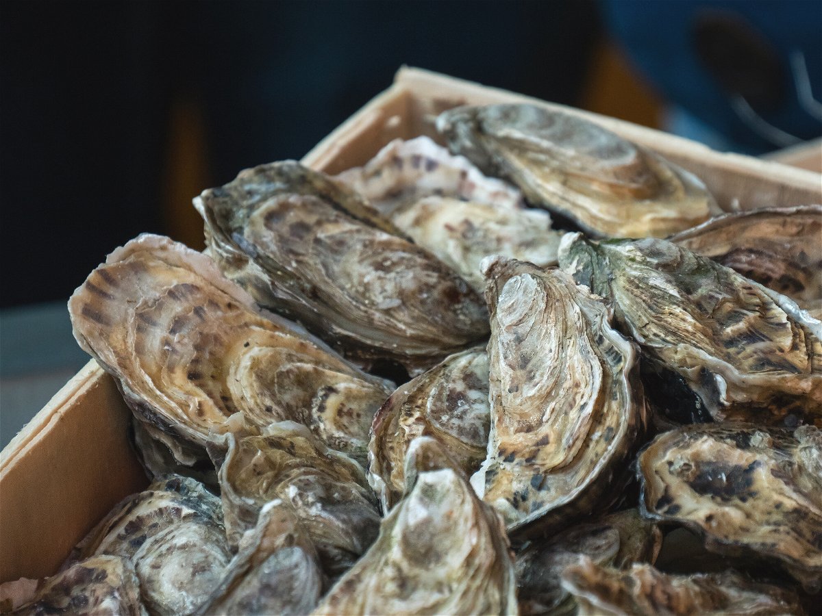 <i>Sid10/Adobe Stock</i><br/>FDA warns against consuming certain raw oysters distributed to 13 states after reported illnesses.