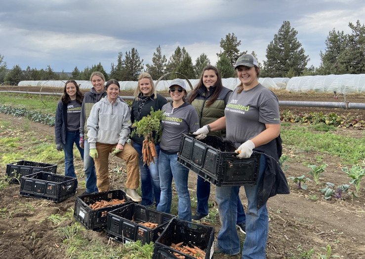 The team from Northwest Farm Credit Services harvesting carrots at Rainshadow Organics 
